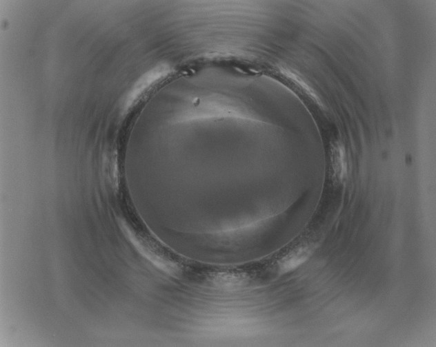 X0000075860494200610061941