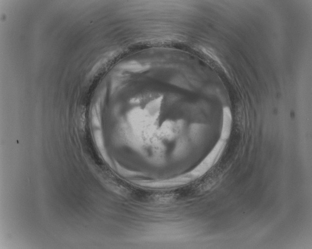 X0000075860495200610061941