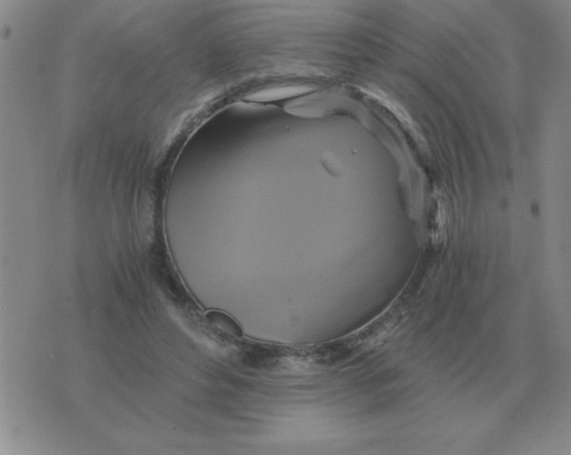 X0000075860496200610061941