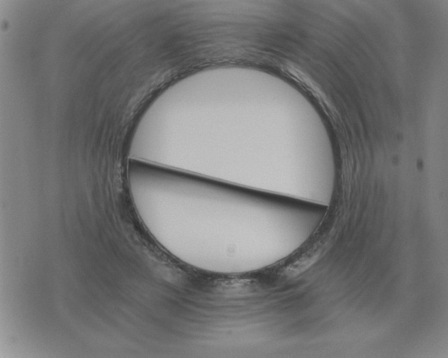 X0000075860497200610061941