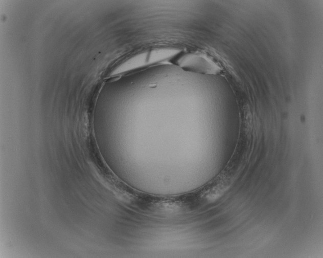 X0000075860498200610061941