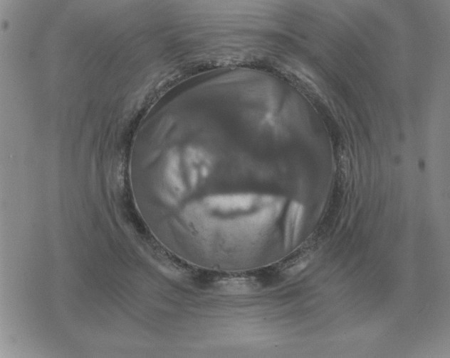 X0000075860499200610061941