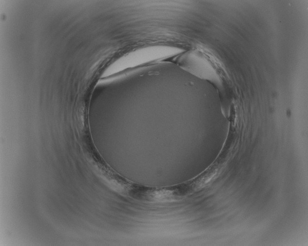 X0000075860501200610061941