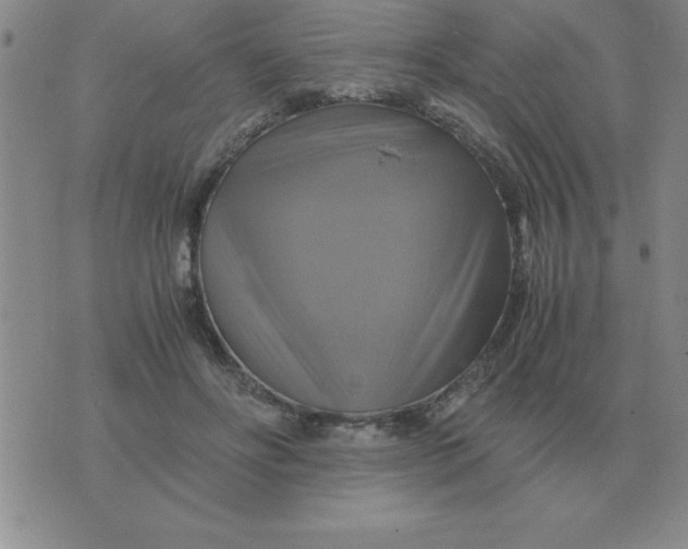 X0000075860502200610061940