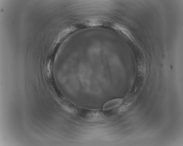 X0000075860503200610061940