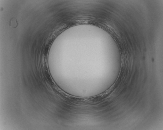 X0000075860504200610061940