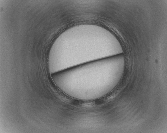 X0000075860505200610061940