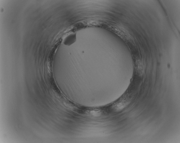 X0000075860506200610061940