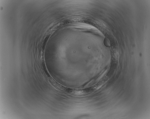 X0000075860507200610061940