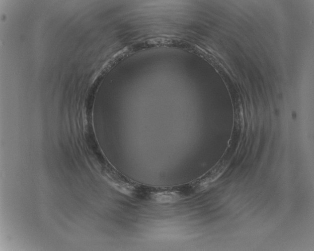 X0000075860508200610061940