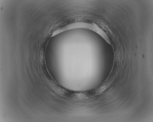 X0000075860509200610061940