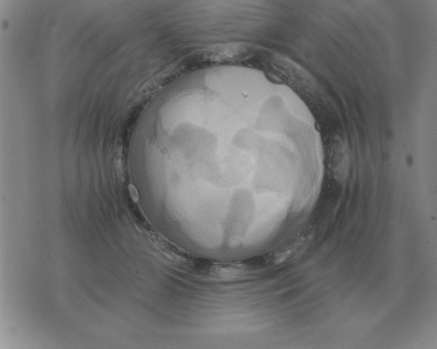 X0000075860510200610061940