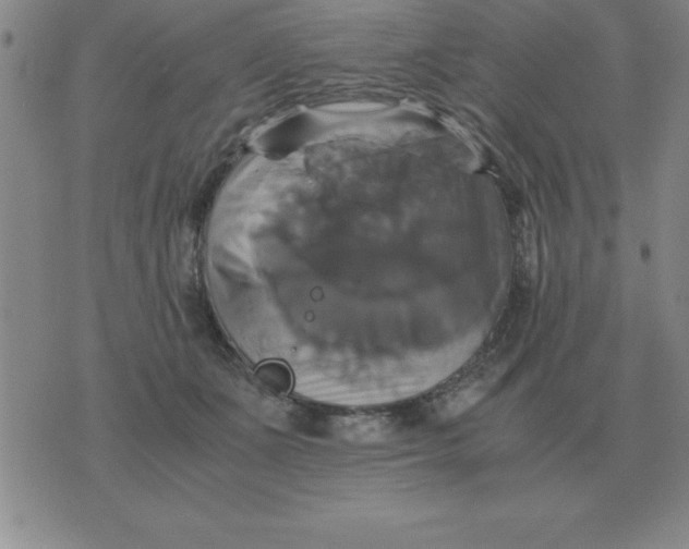 X0000075860511200610061940