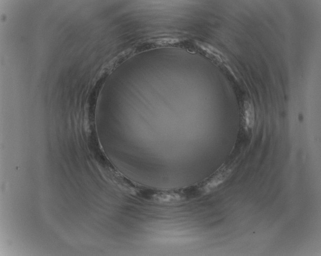 X0000075860512200610061940