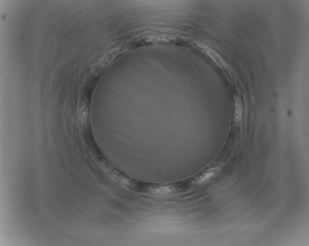 X0000075860513200610061940