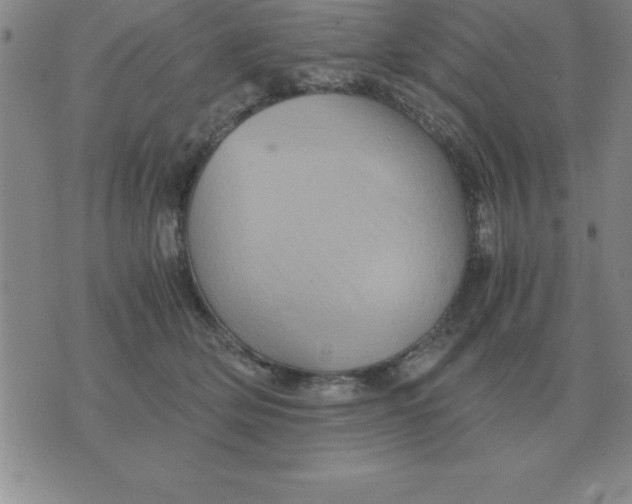 X0000075860514200610061940