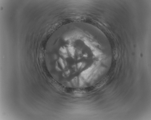 X0000075860515200610061940