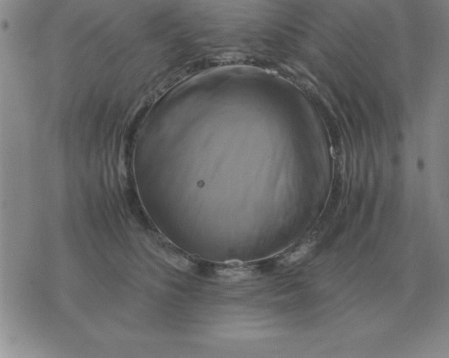 X0000075860516200610061940