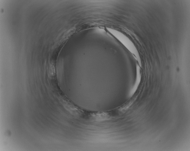 X0000075860517200610061940