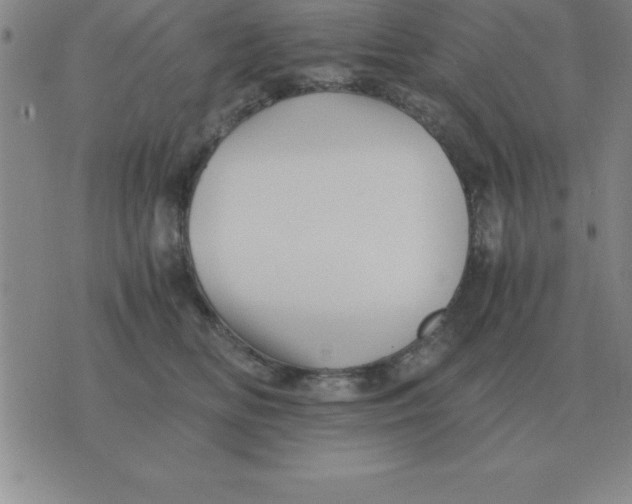 X0000075860518200610061940