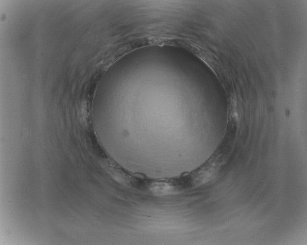 X0000075860519200610061940