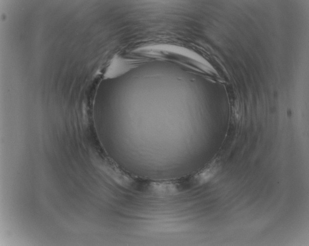 X0000075860520200610061940