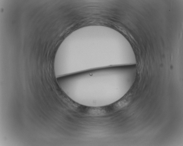 X0000075860521200610061940