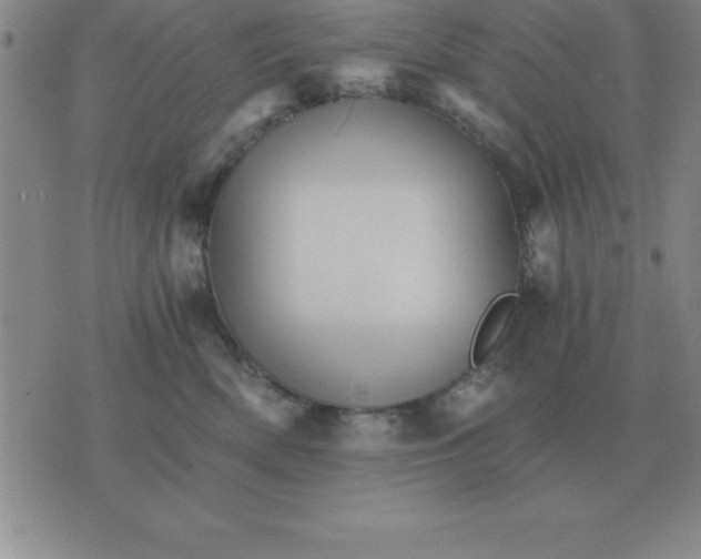 X0000075860522200610061940