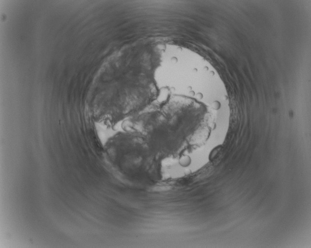 X0000075860523200610061940