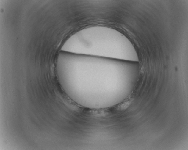 X0000075860524200610061940