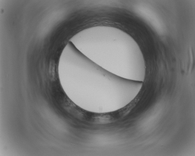 X0000075860525200610061940