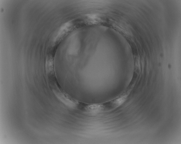 X0000075860526200610061940