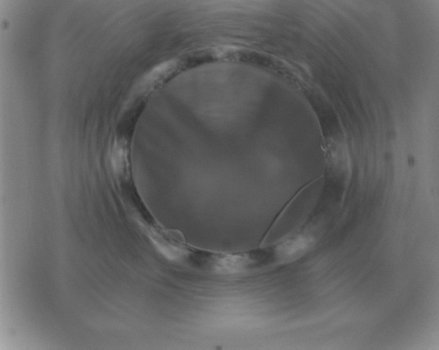 X0000075860527200610061940