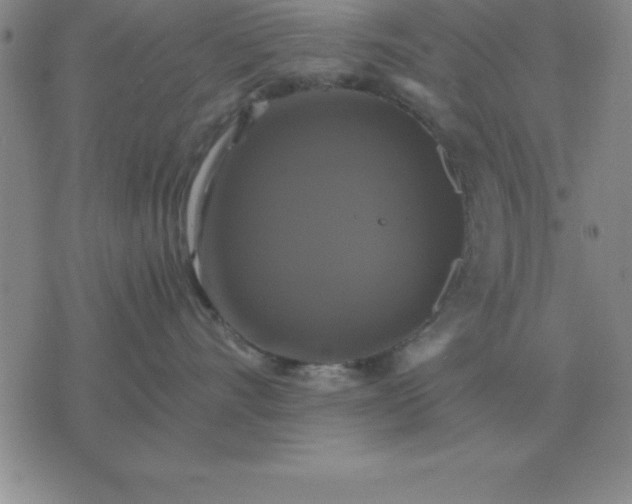 X0000075860528200610061940