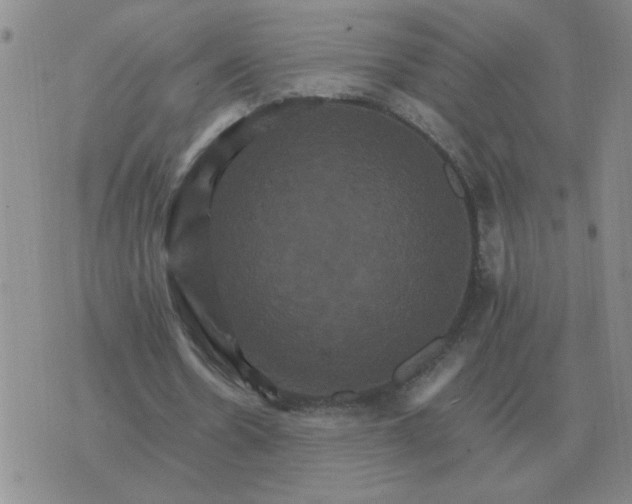 X0000075860530200610061939