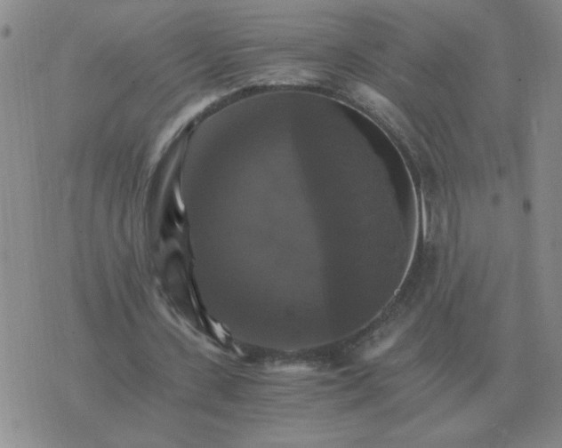 X0000075860531200610061939