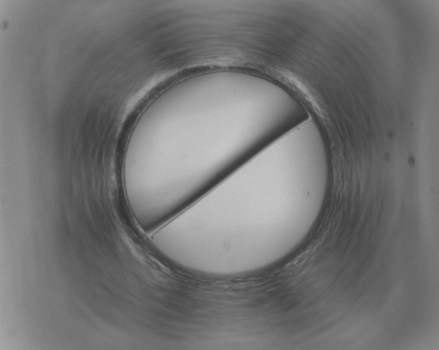 X0000075860532200610061939