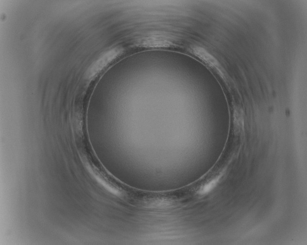 X0000075860533200610061939