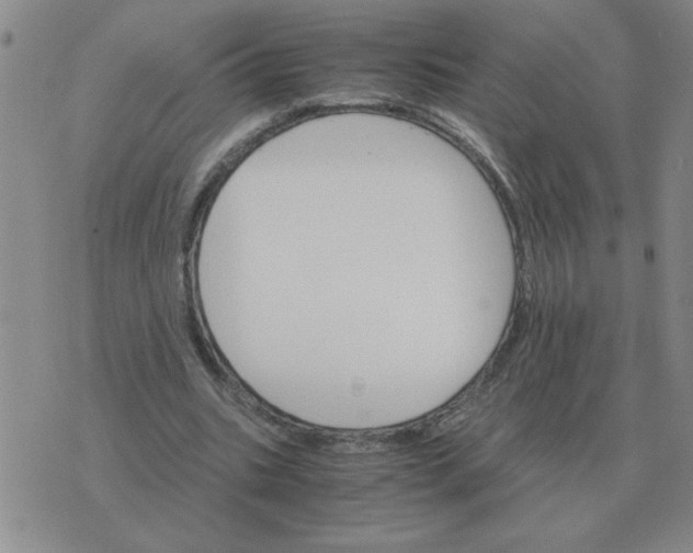 X0000075860535200610061939