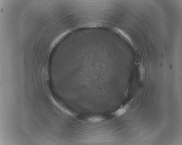 X0000075860536200610061939