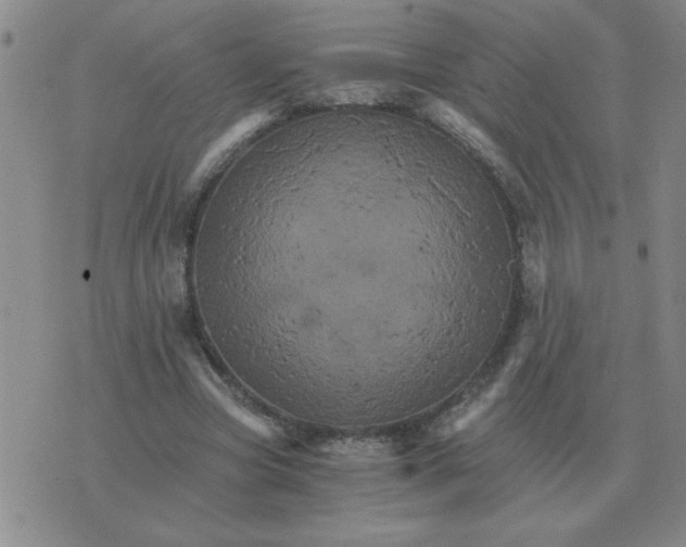 X0000075860537200610061939