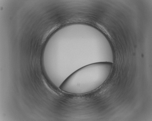 X0000075860538200610061939