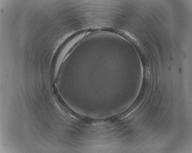 X0000075860540200610061939