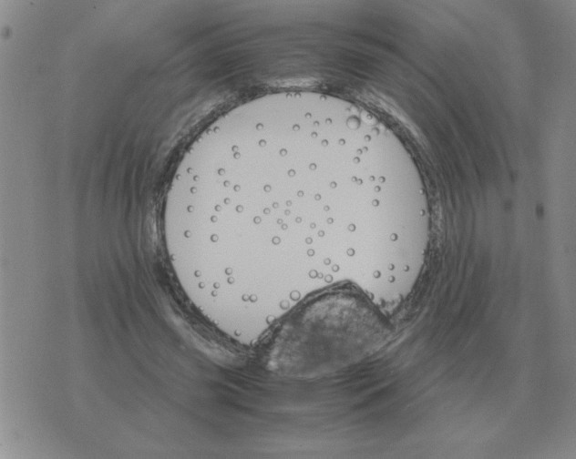 X0000075860541200610061939