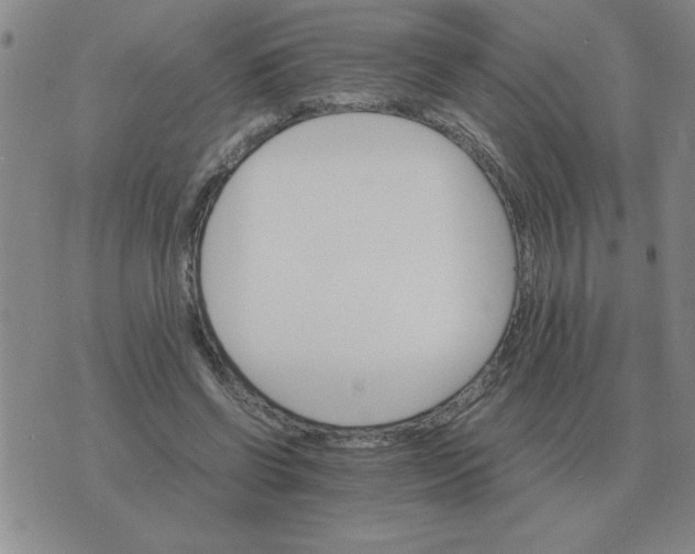 X0000075860542200610061940