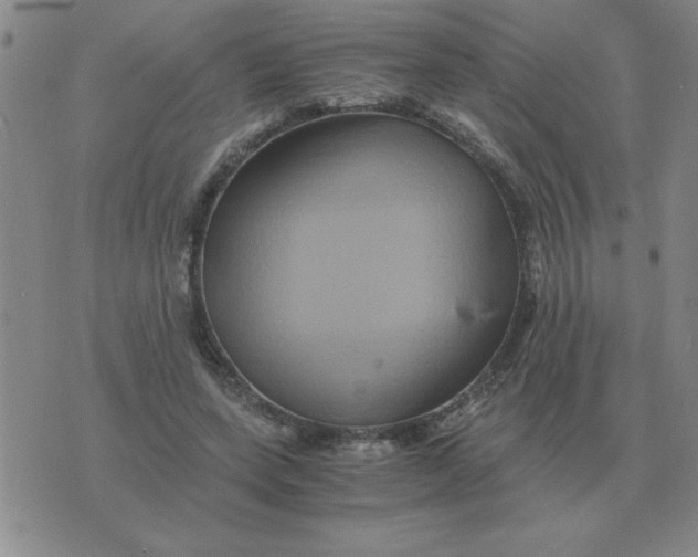 X0000075860543200610061940