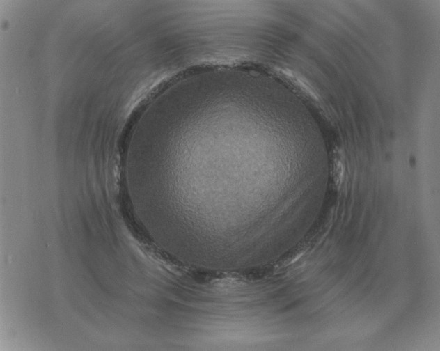 X0000075860544200610061940