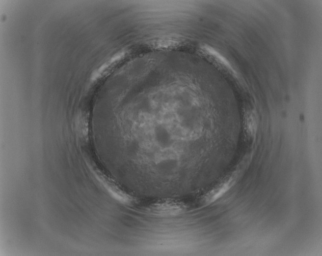 X0000075860545200610061940