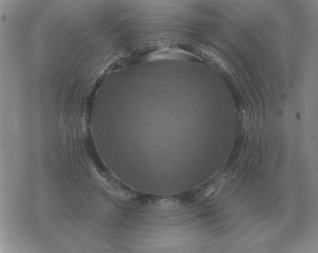 X0000075860546200610061940