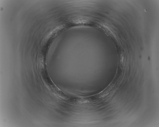 X0000075860547200610061940